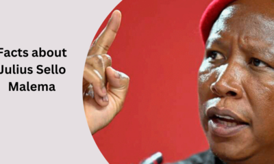 Facts about Julius Sello Malema